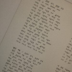 Индивидуальный перевод с корейского языка Индивидуальный перевод с корейского языка